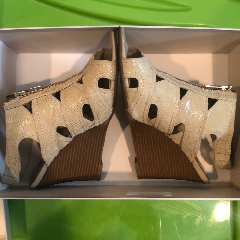 Wedge